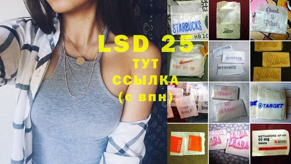 spice Ельня