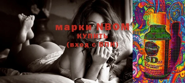 spice Ельня