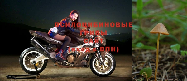 эйфоретик Елабуга