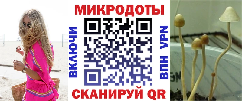закладки  Сосновка  кракен зеркало  Псилоцибиновые грибы ЛСД 